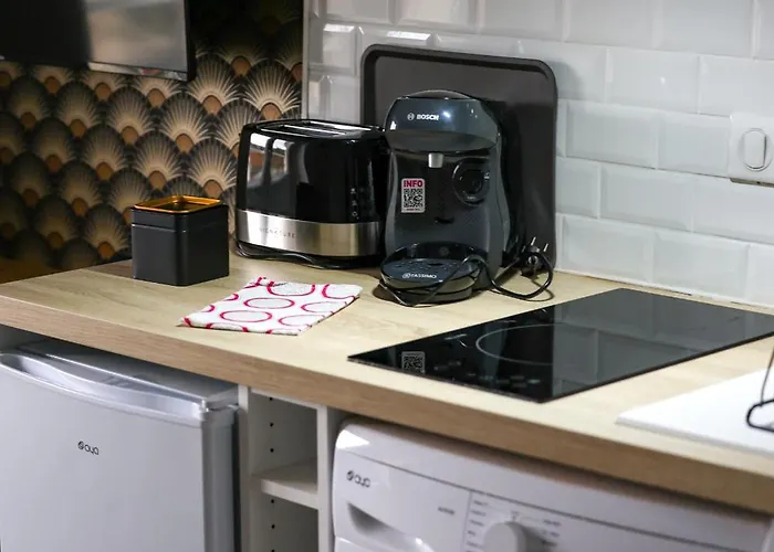 Lejlighed Le Victor Hugo #hypercentre #netflix Cognac